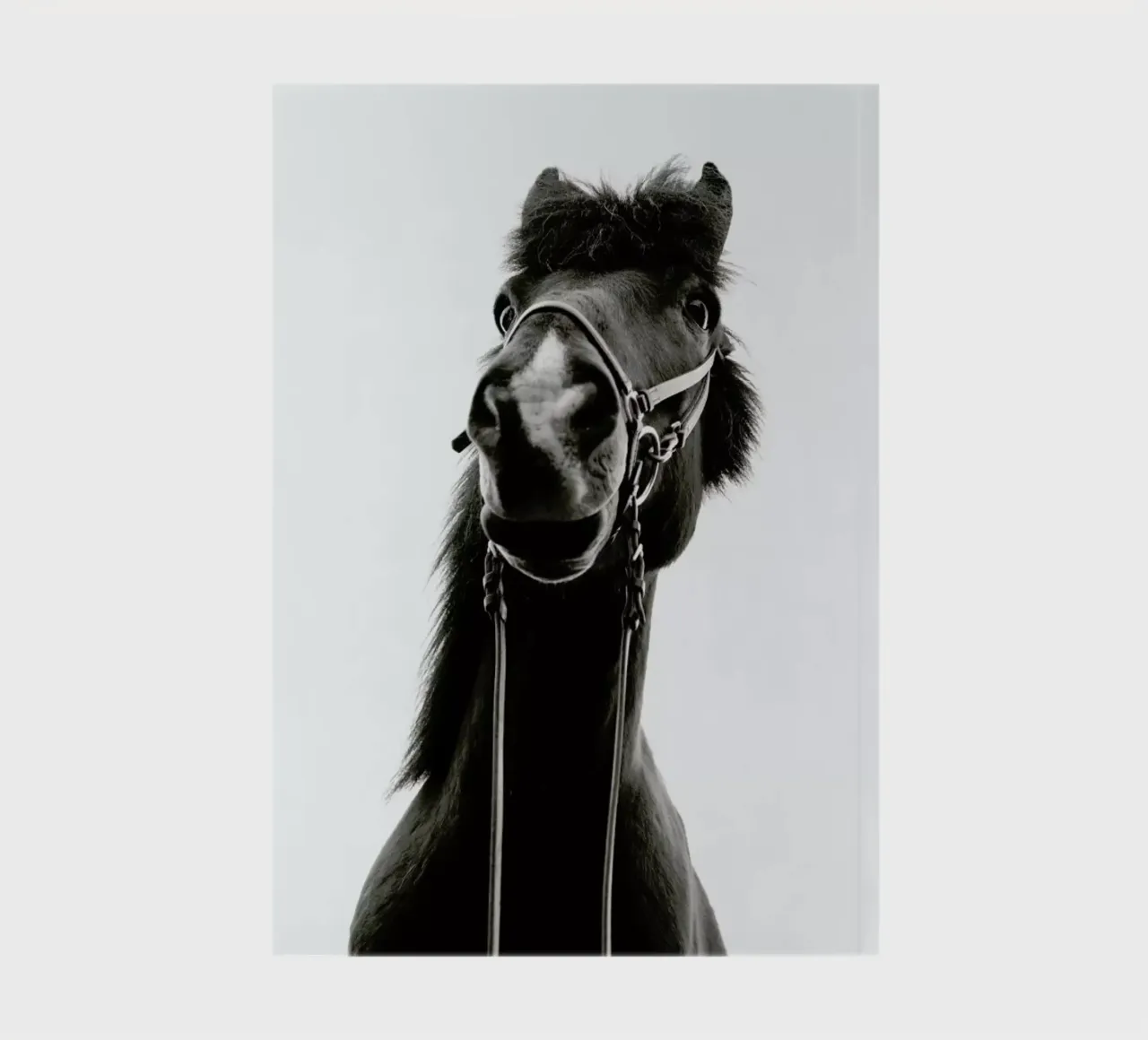 All Reigned Up With Nowhere To Go notebook by Natural Kingdom