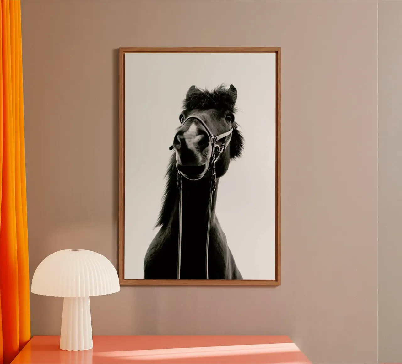 All Reigned Up With Nowhere To Go alluminio dibond da Natural Kingdom