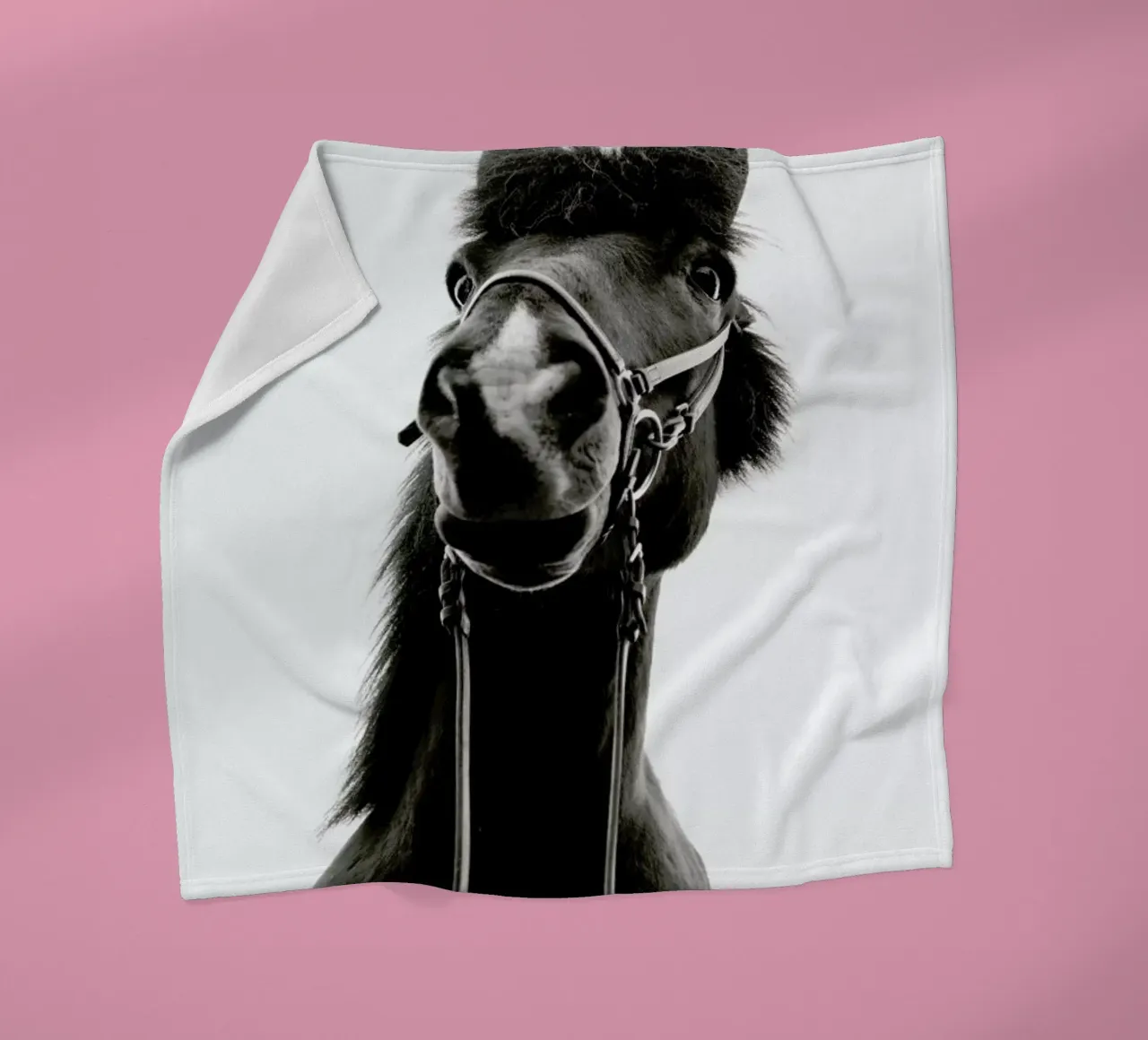 All Reigned Up With Nowhere To Go coperta in pile da Natural Kingdom