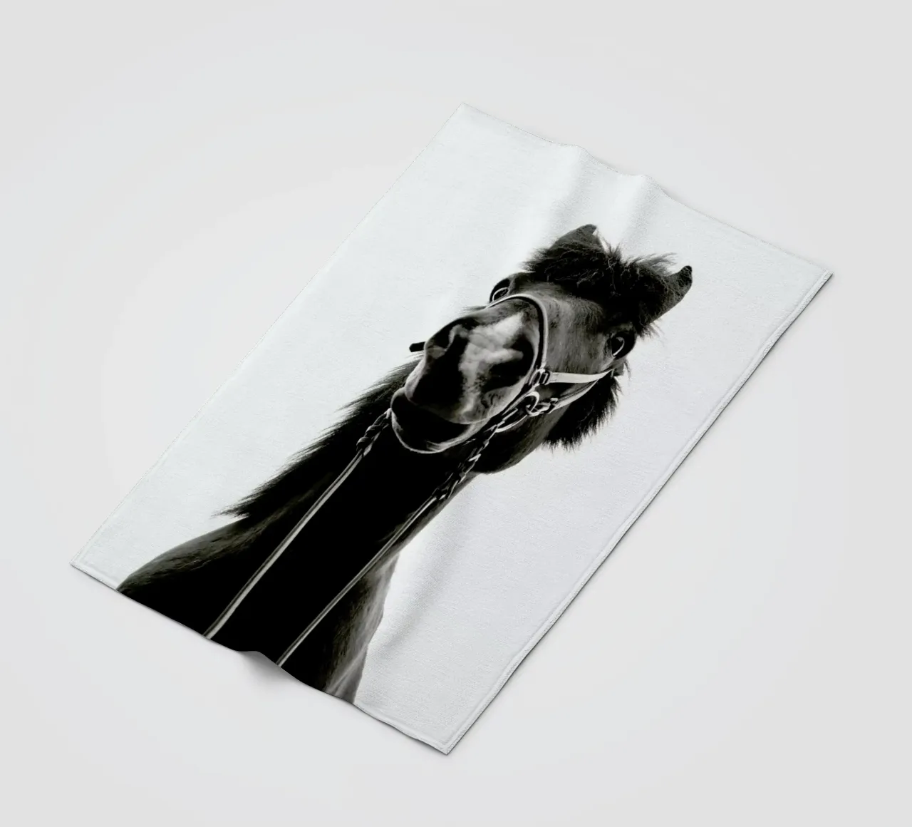 All Reigned Up With Nowhere To Go coperta in pile da Natural Kingdom