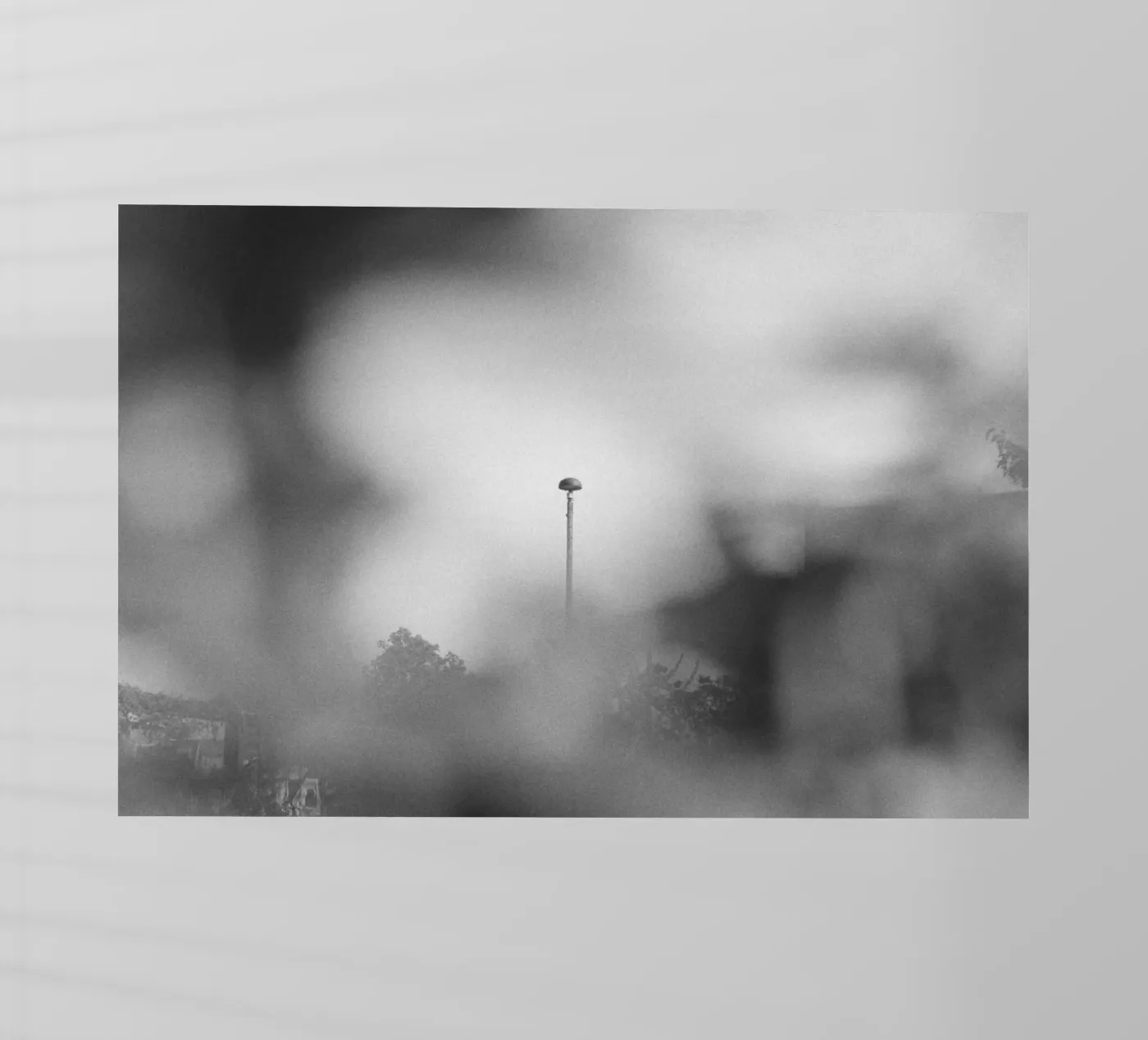 Blurred View pellicola backlit da Nur Mut