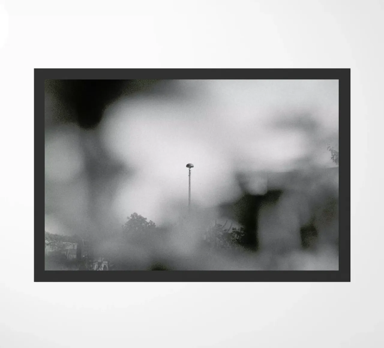 Blurred View zerbino da Nur Mut