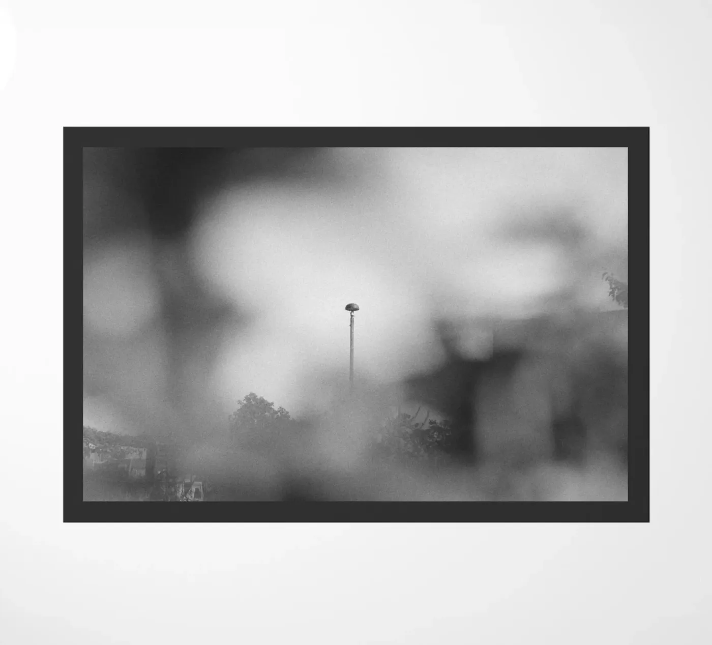 Blurred View zerbino da Nur Mut