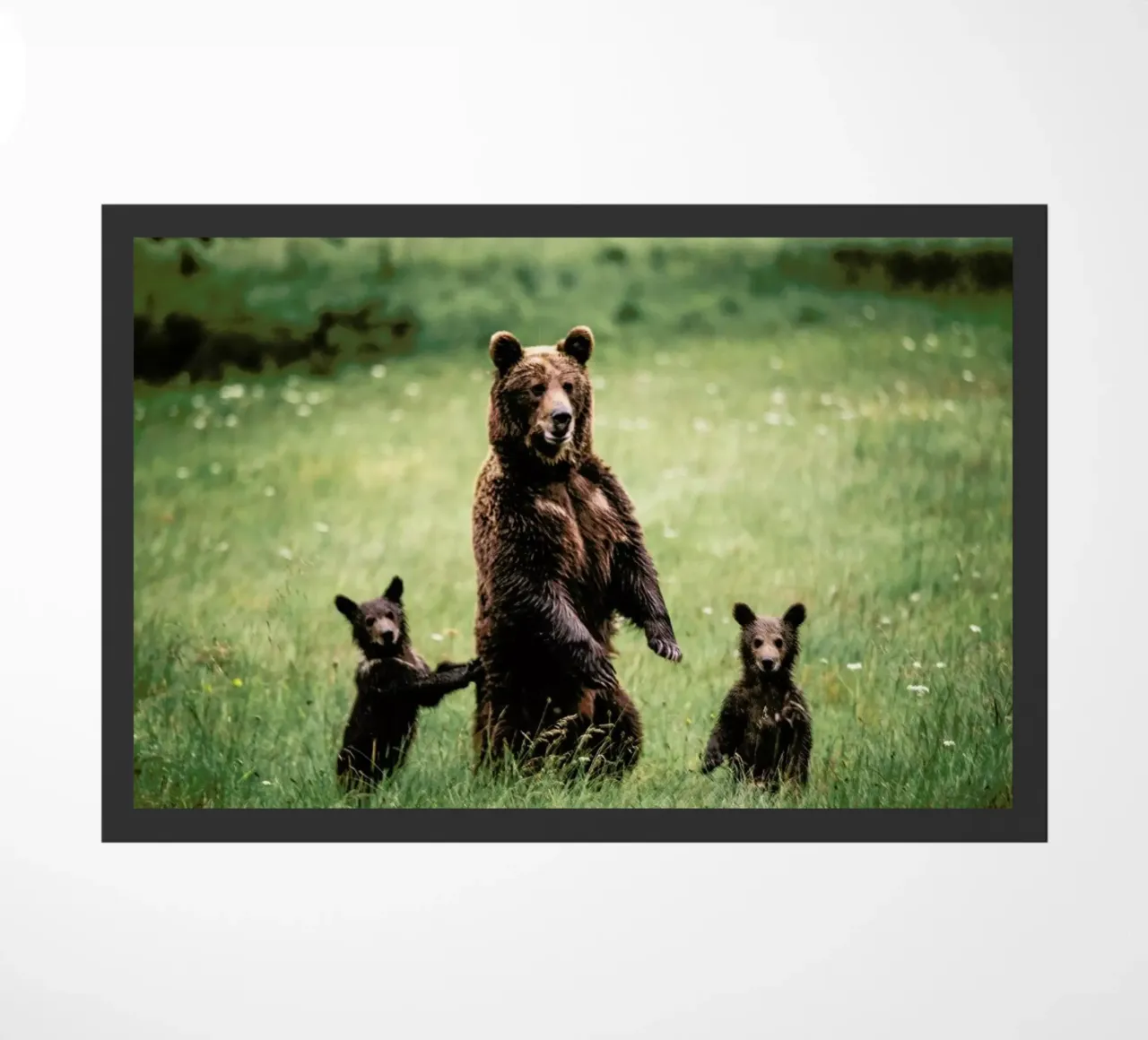 The Three Bears zerbino da Natural Kingdom