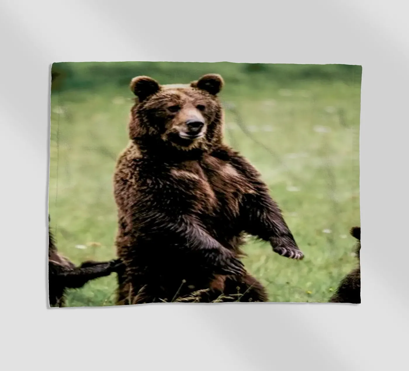 The Three Bears telo mare da Natural Kingdom