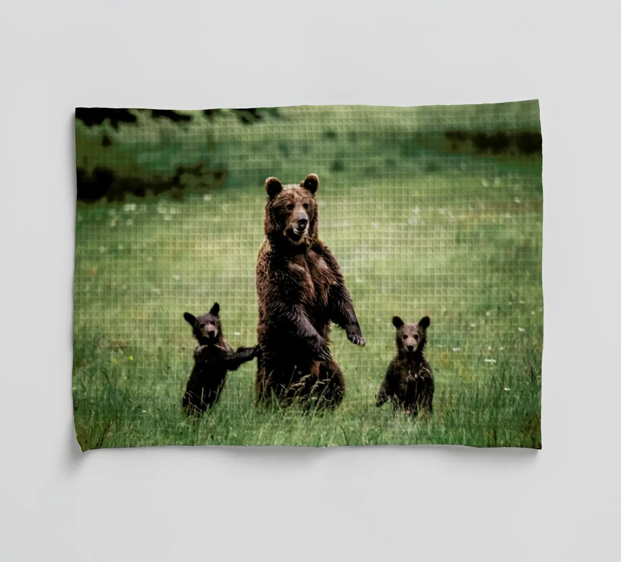 The Three Bears canovaccio da cucina da Natural Kingdom
