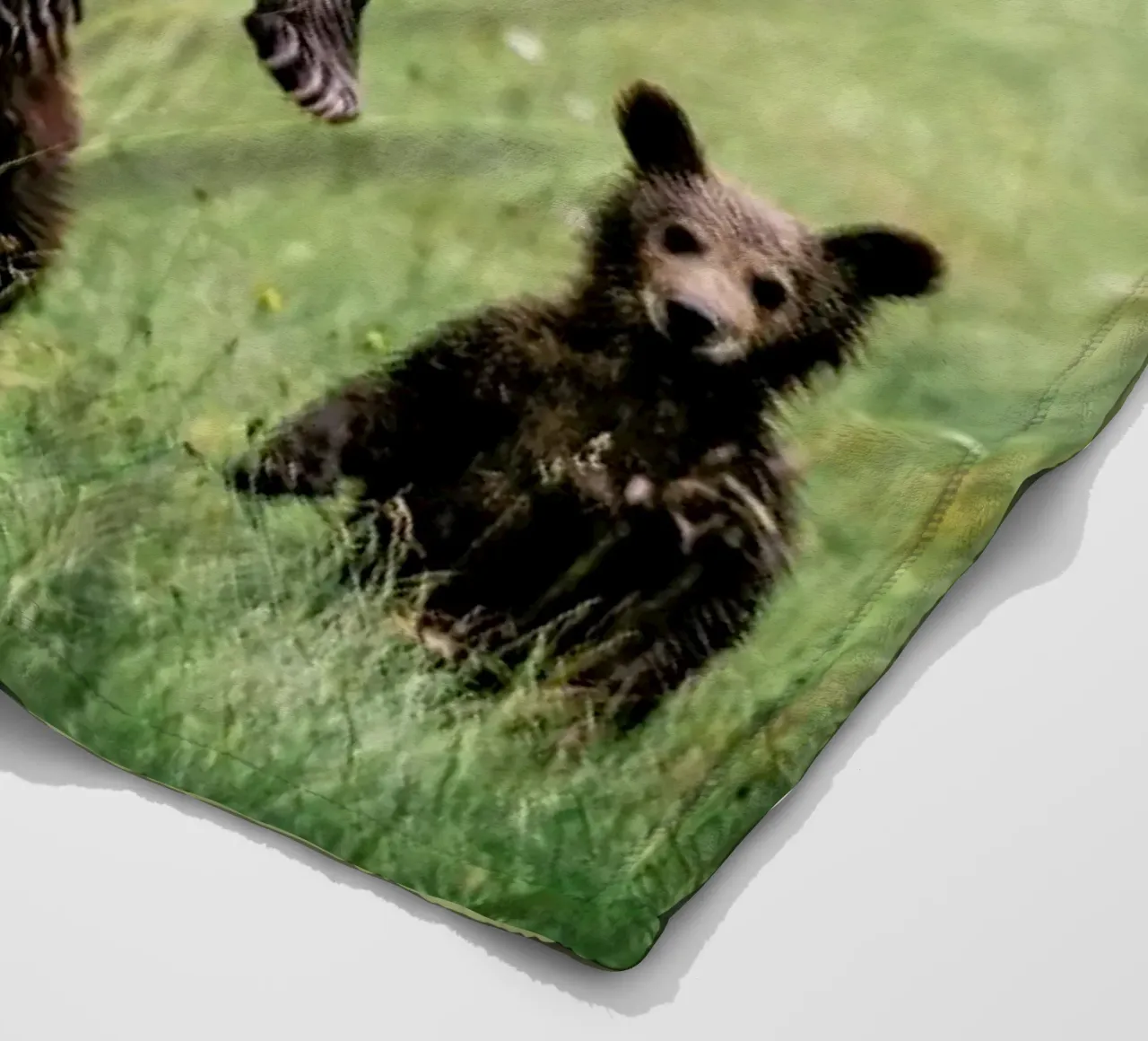 The Three Bears coperta in pile da Natural Kingdom