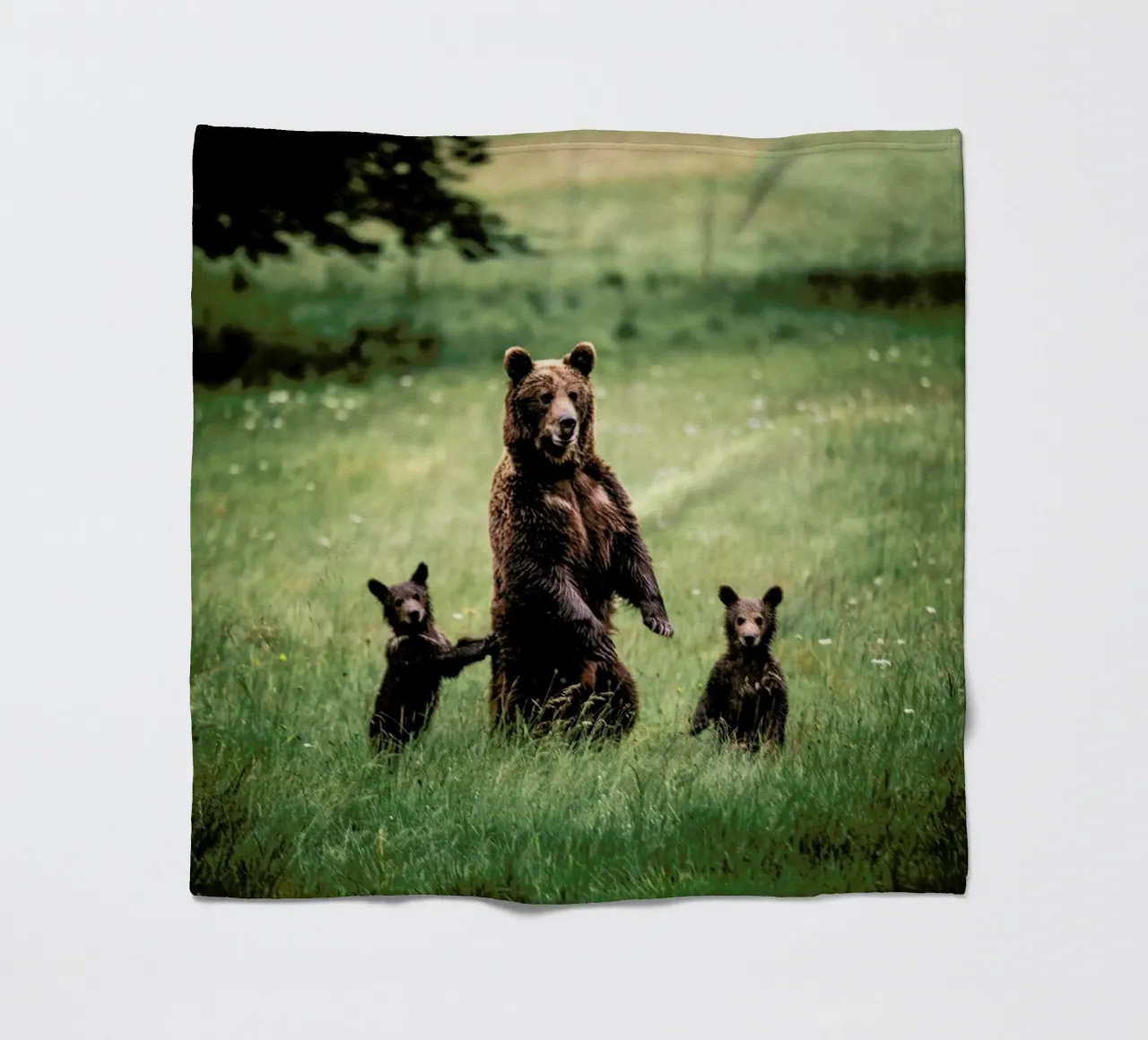 The Three Bears coperta in pile da Natural Kingdom