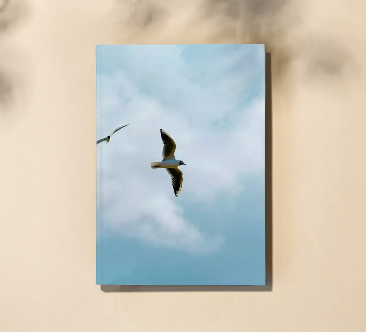 Seaside  27 notebook by Tal Paz-Fridman