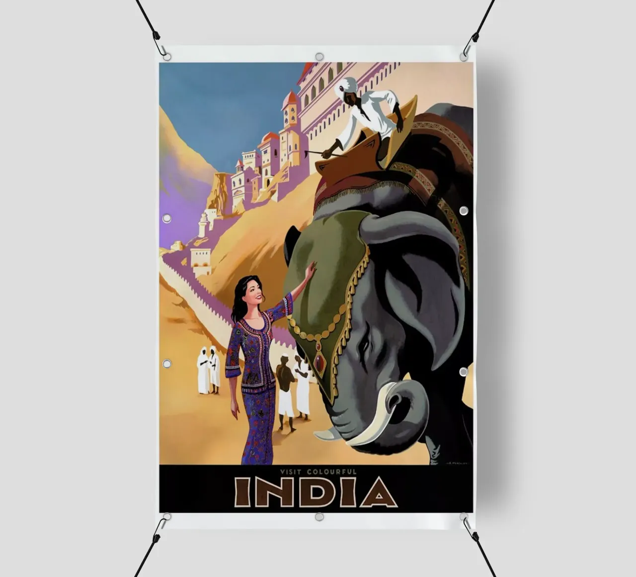 india1 pvc cover by Robert Livingston