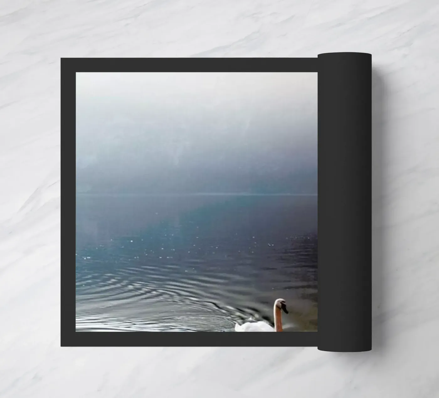 The Swan zerbino da METROPOLIS