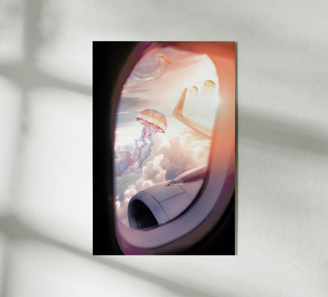 Jellyfish Plane plexiglass da Jonas Loose