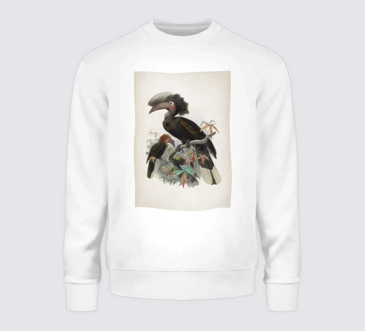 Vintage Keulemans 1 Spagholobus Atratus felpa da Vintage Print Collection