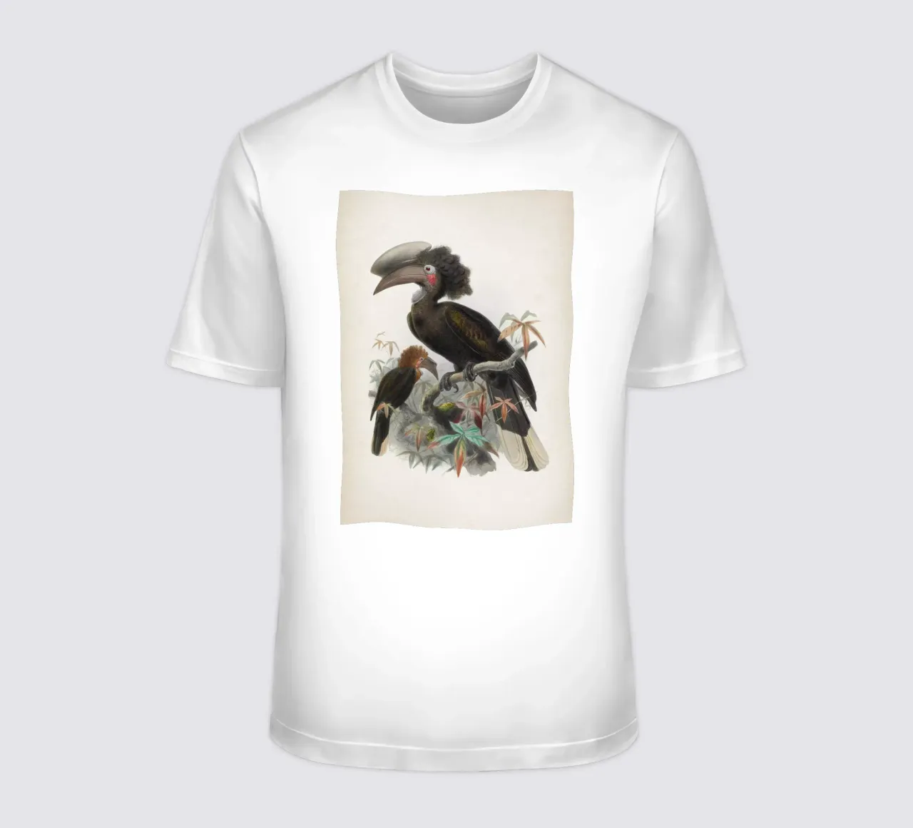 Vintage Keulemans 1 Spagholobus Atratus t-shirt da Vintage Print Collection