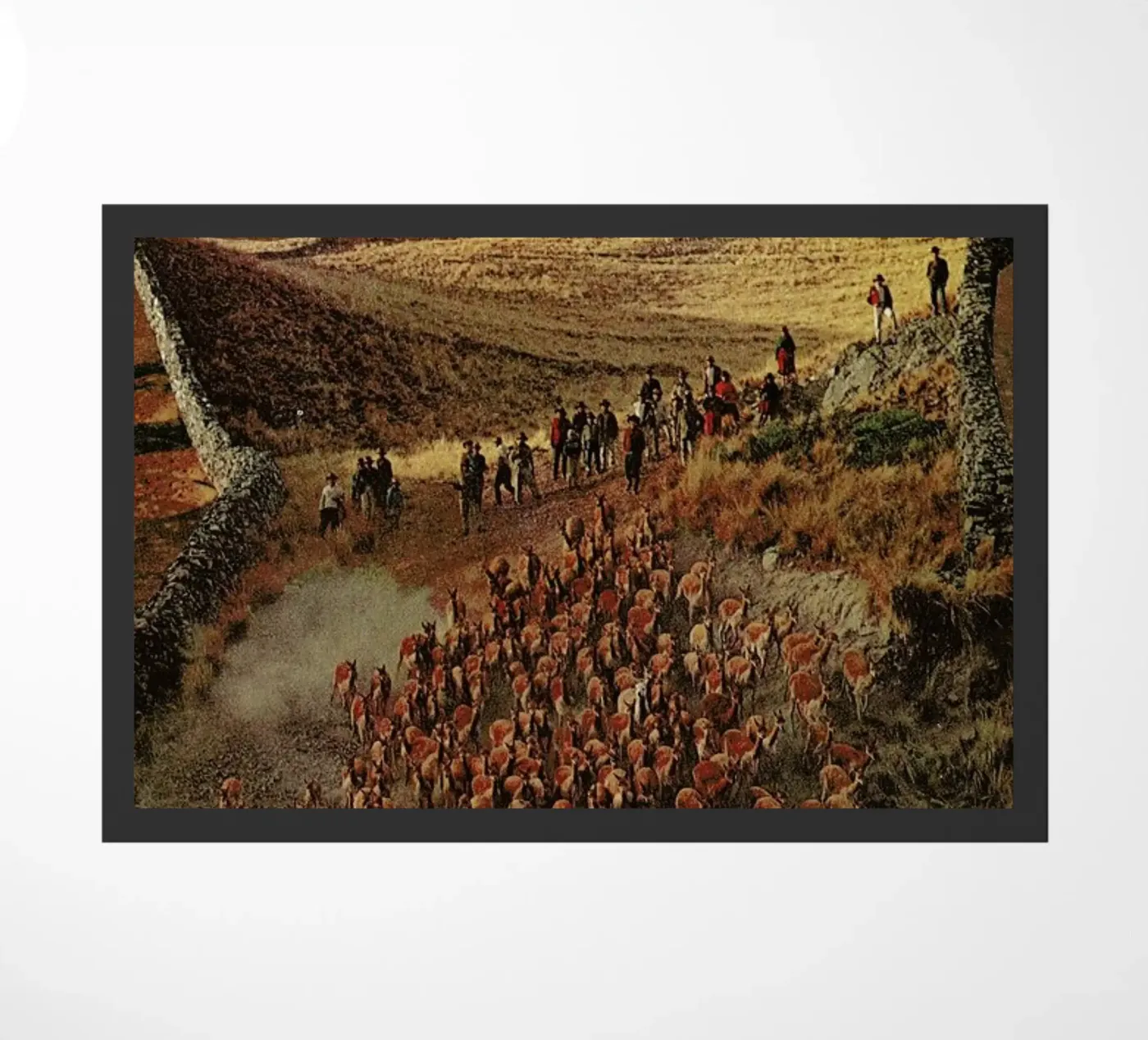 Alpacalypse doormat by Jesse Treece