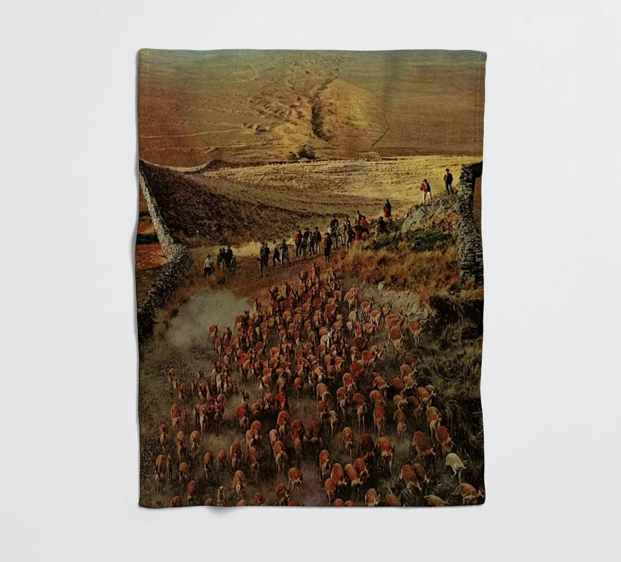 Alpacalypse coperta in pile da Jesse Treece