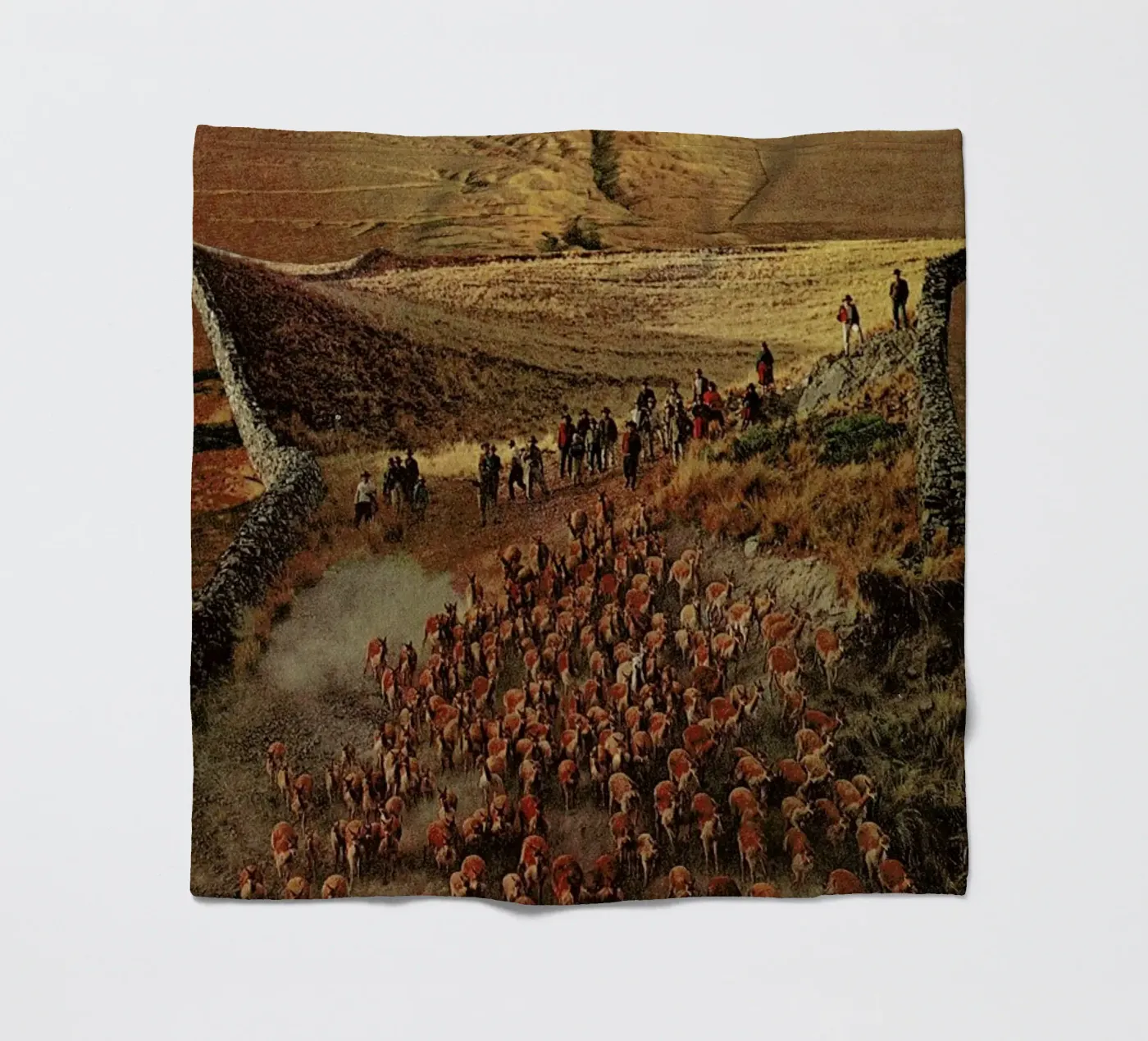 Alpacalypse fleece blanket by Jesse Treece