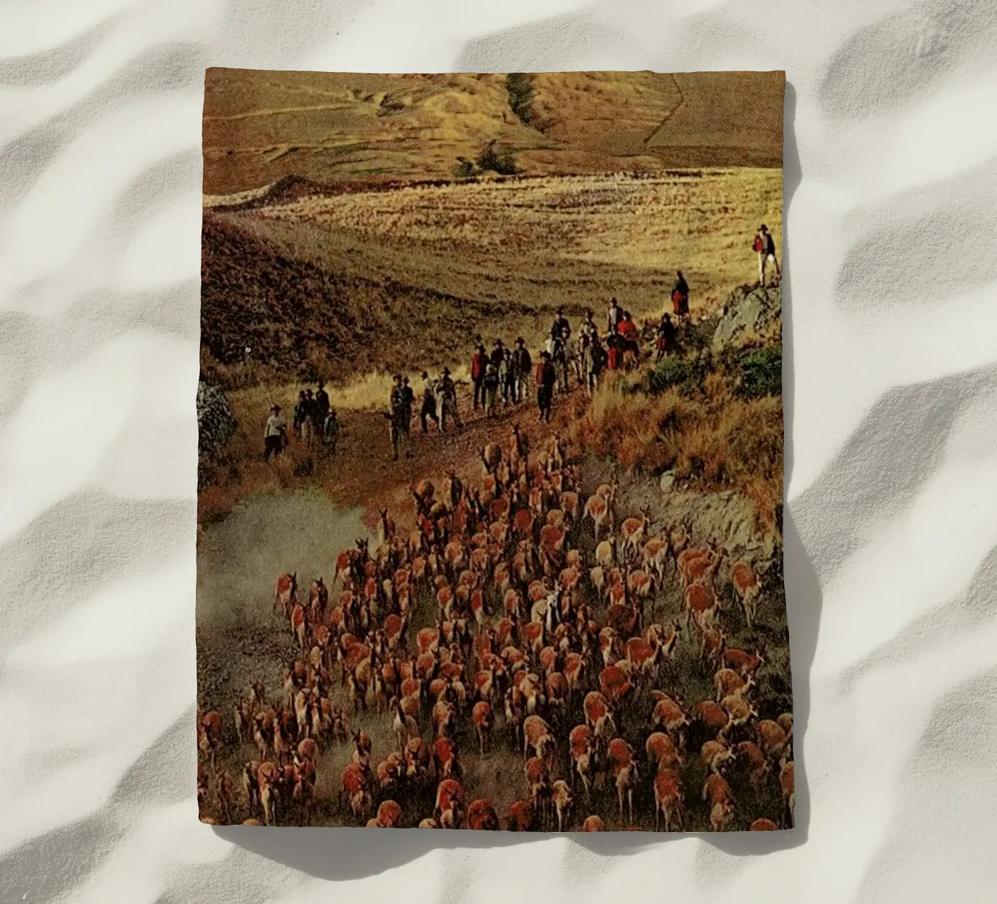 Alpacalypse telo mare da Jesse Treece