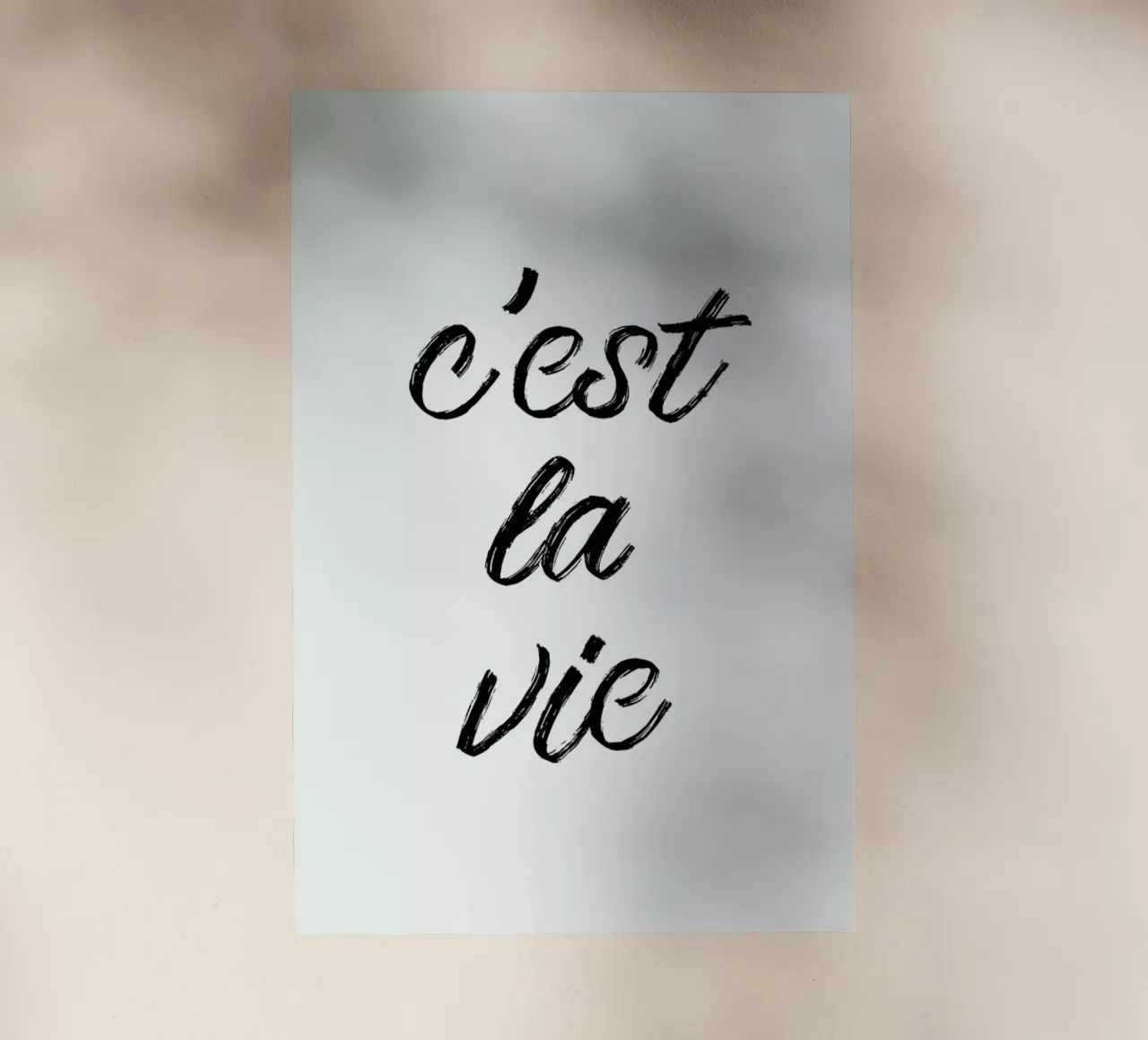 C'est la vie pellicola backlit da typed