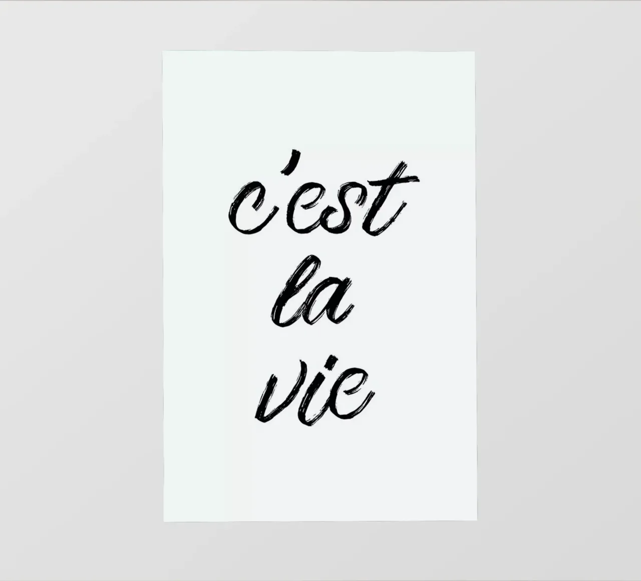 C'est la vie pellicola backlit da typed