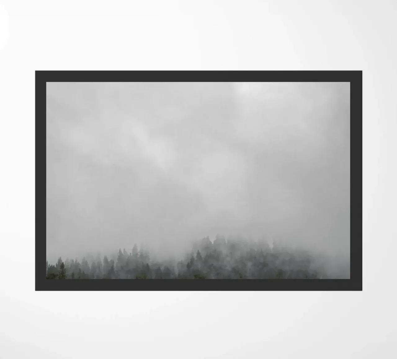 Clouded Forest zerbino da Nur Mut