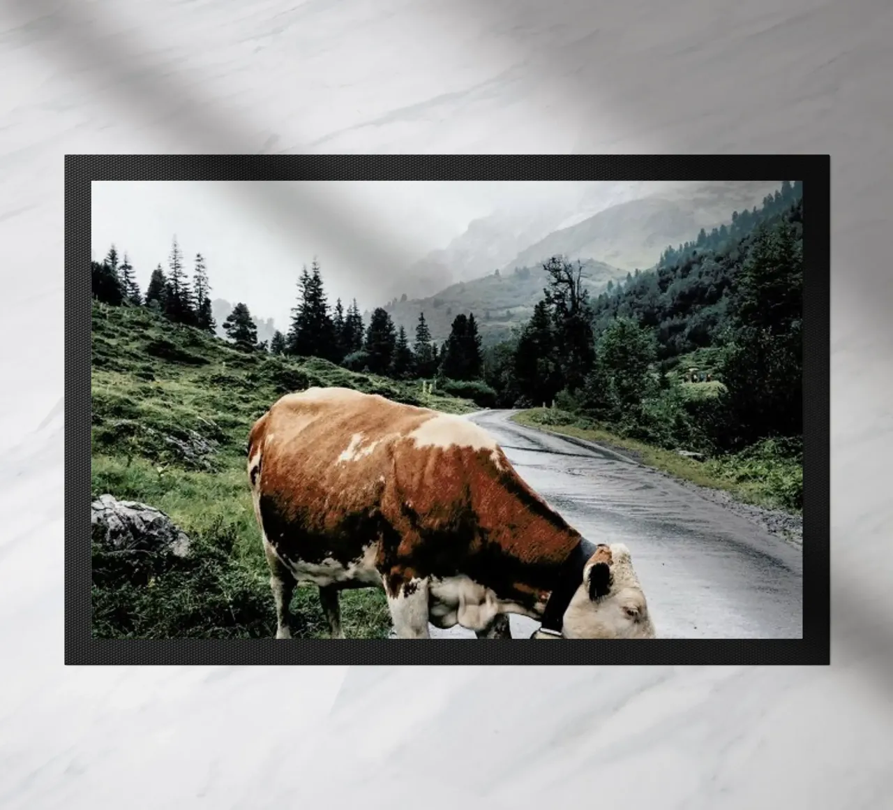 Making Moo-ves zerbino da Natural Kingdom