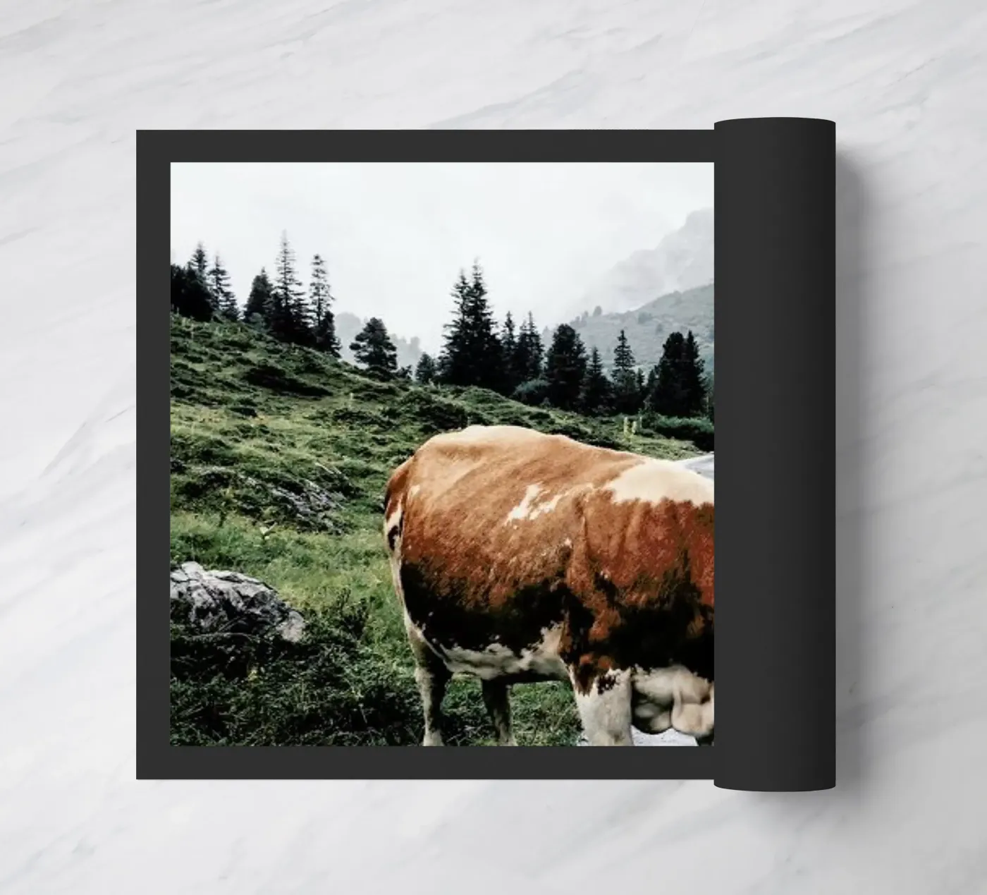 Making Moo-ves zerbino da Natural Kingdom