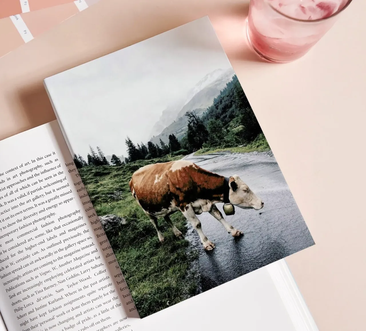Making Moo-ves diario da Natural Kingdom