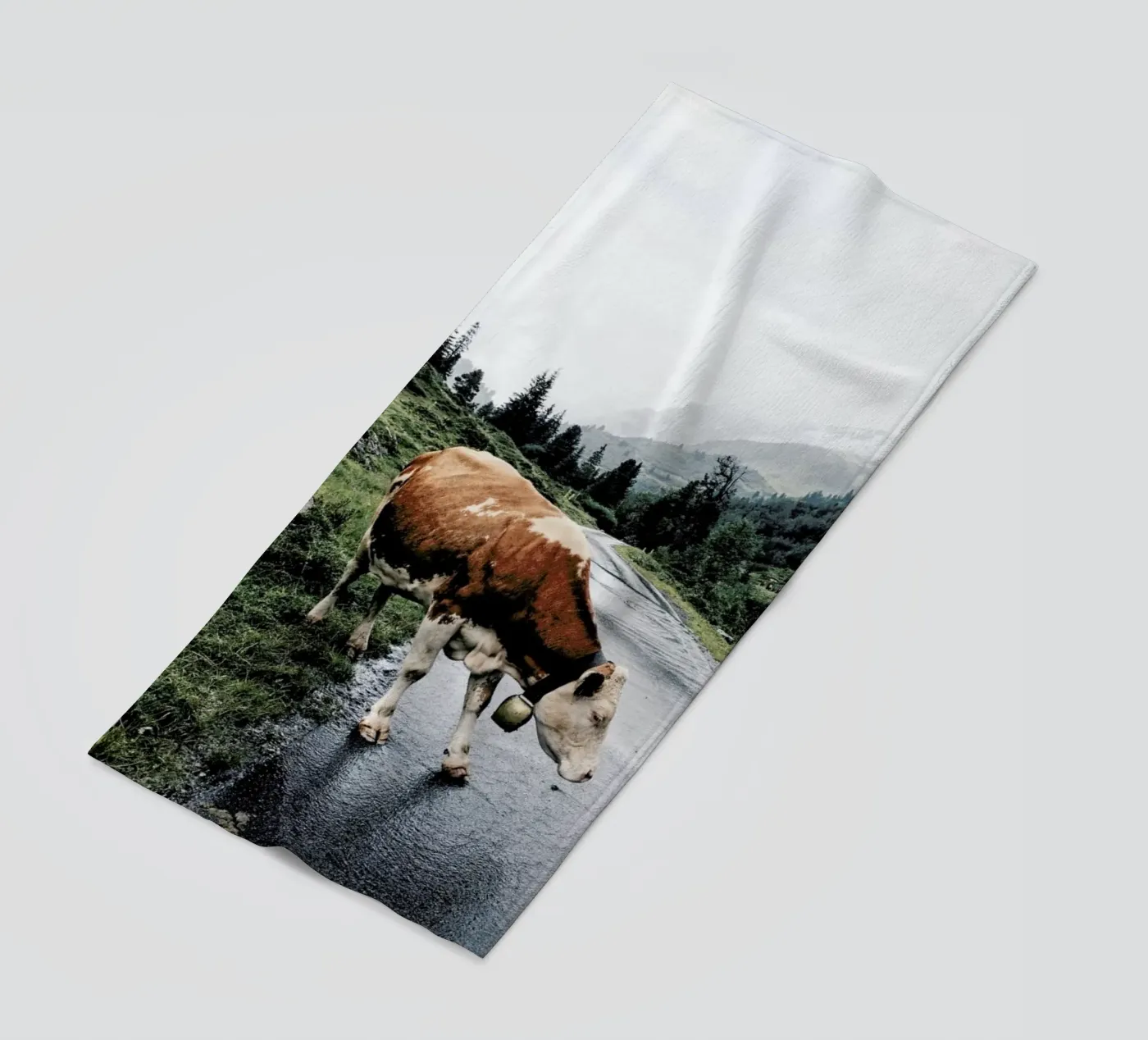 Making Moo-ves telo mare da Natural Kingdom