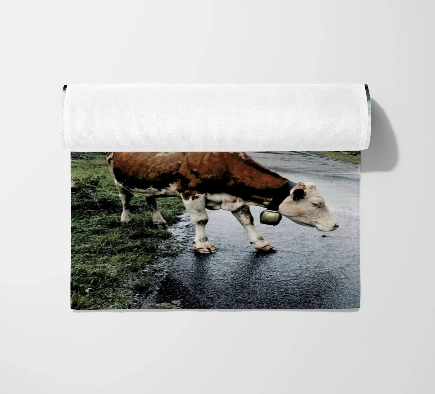 Making Moo-ves telo mare da Natural Kingdom