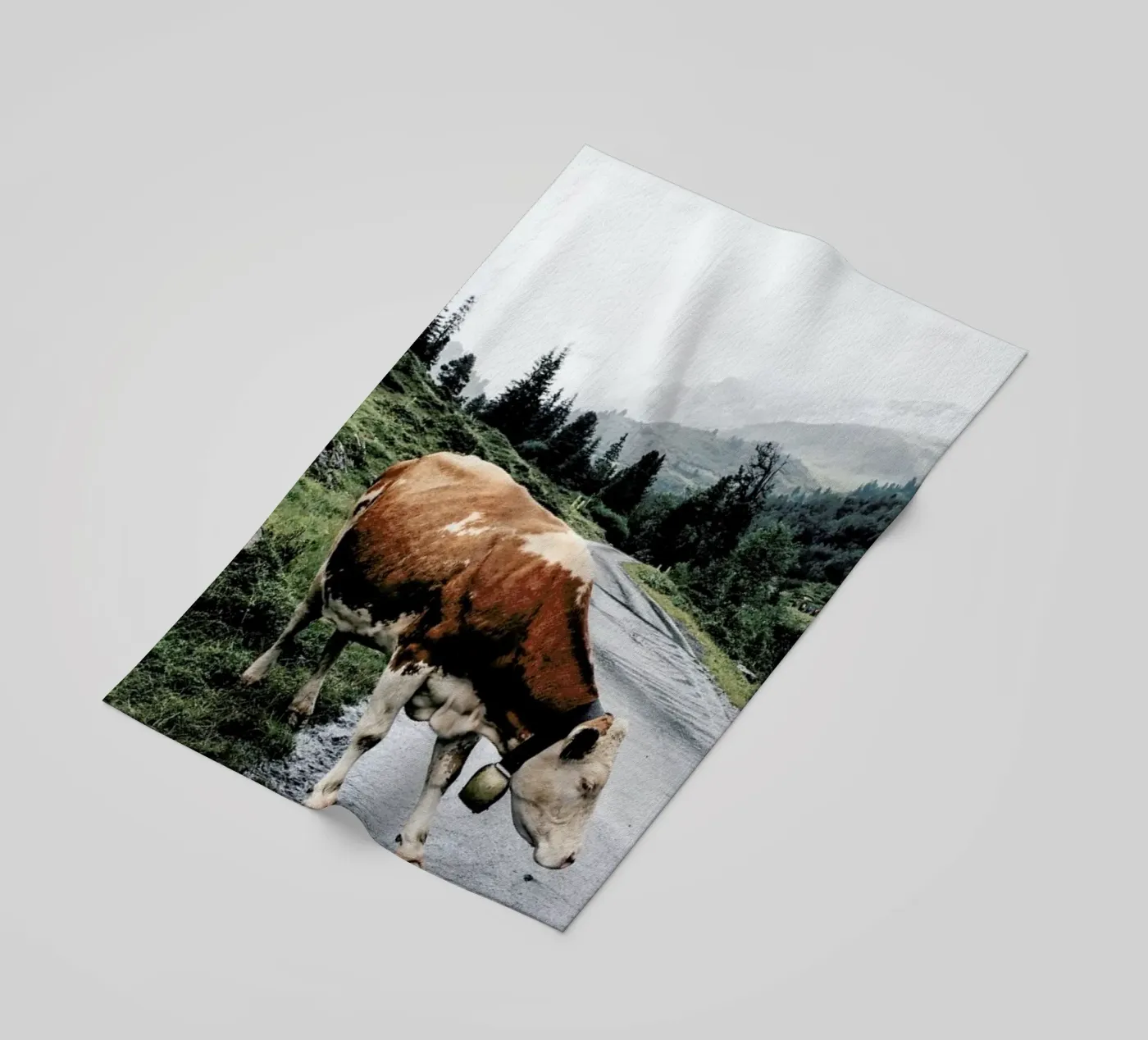 Making Moo-ves telo mare da Natural Kingdom