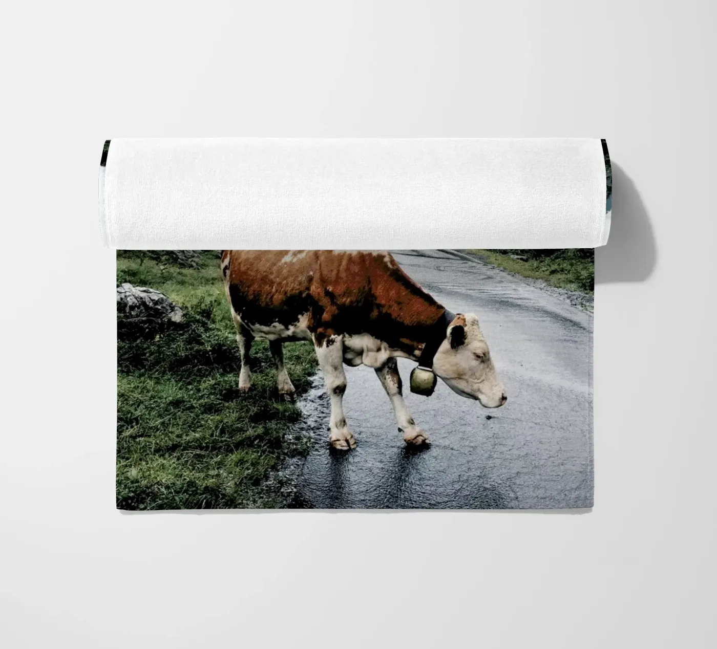 Making Moo-ves telo mare da Natural Kingdom