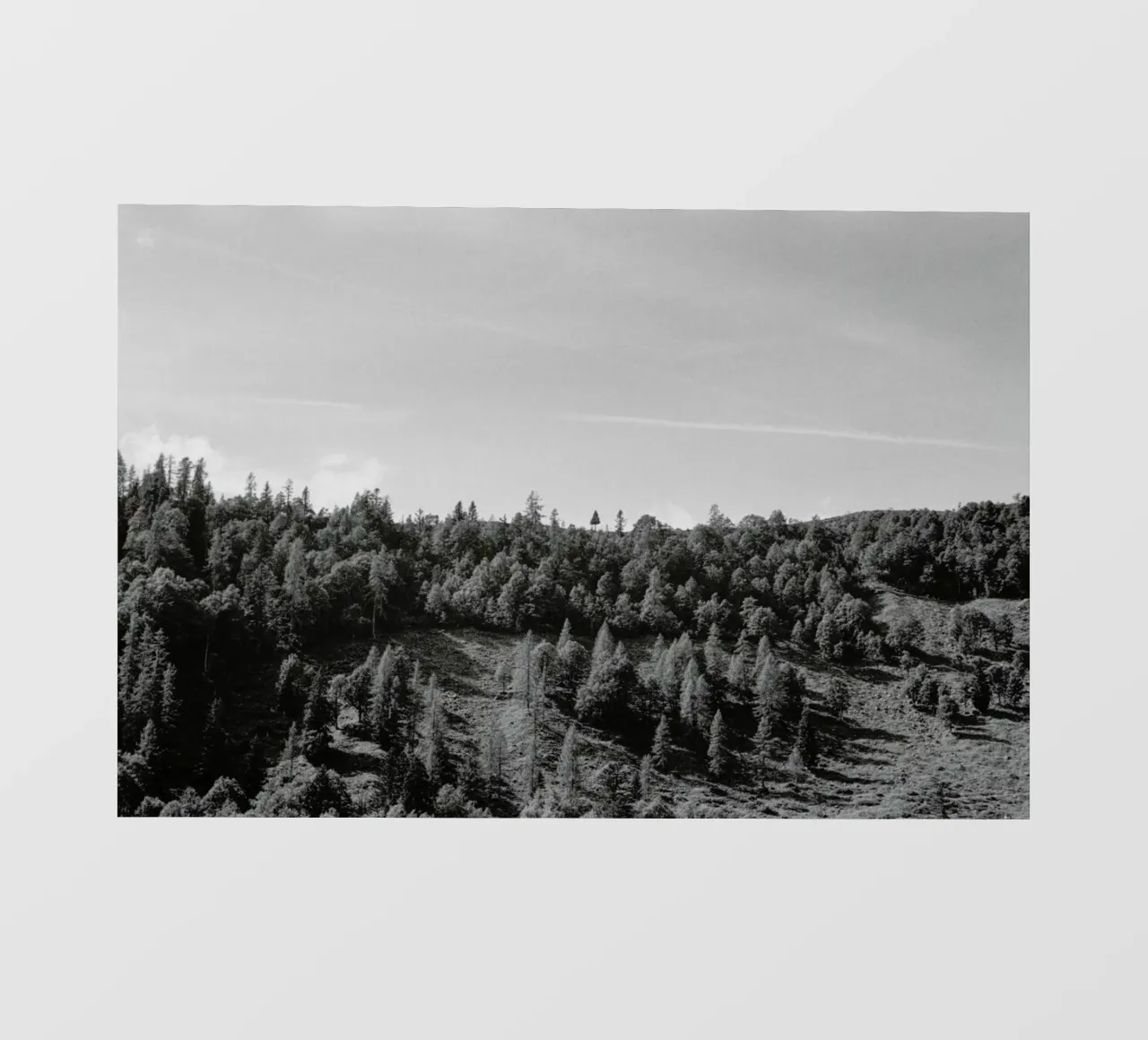 Trees On The Ridge telo in pvc da Nur Mut