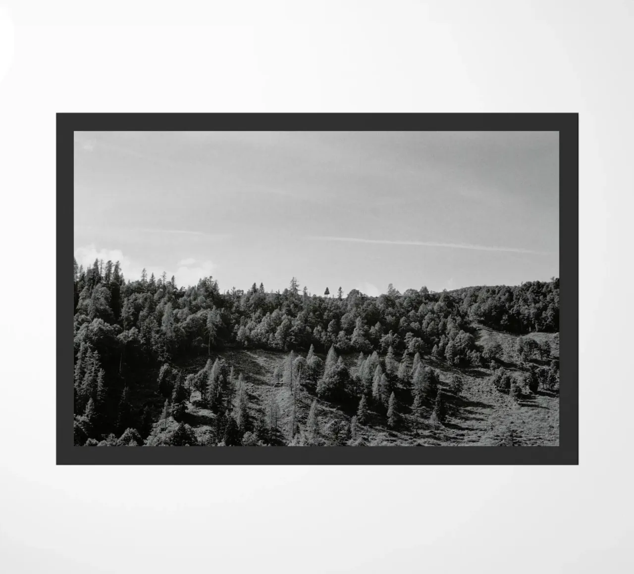 Trees On The Ridge zerbino da Nur Mut