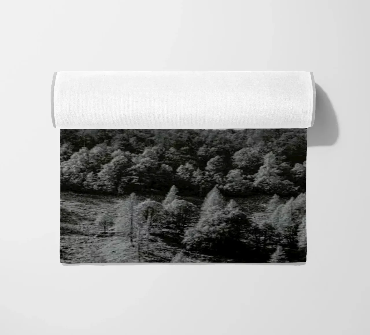 Trees On The Ridge telo mare da Nur Mut