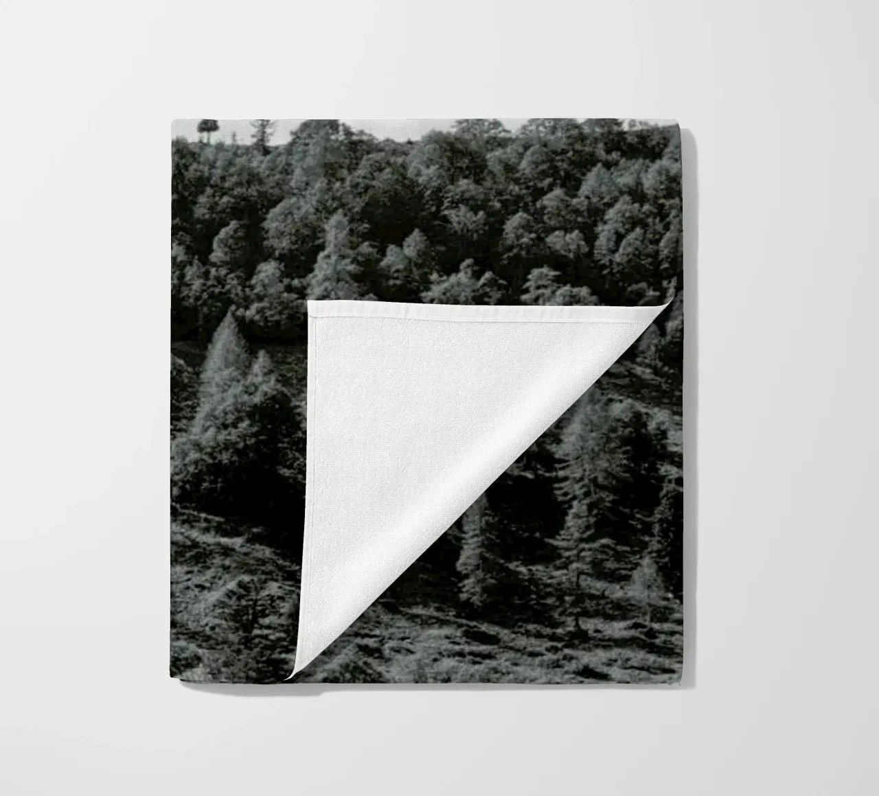 Trees On The Ridge telo mare da Nur Mut