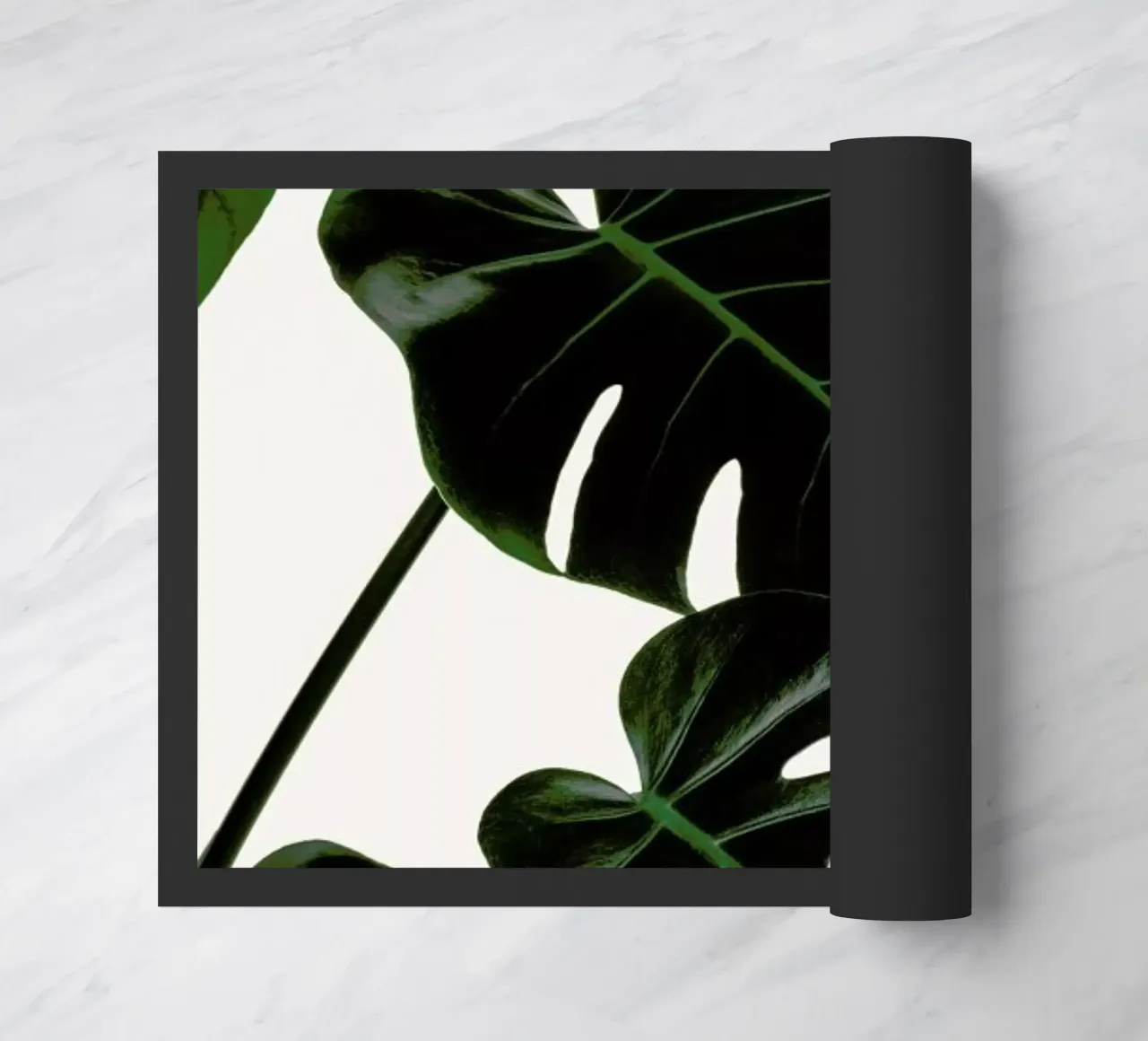 Green Giant zerbino da Flora & Fauna