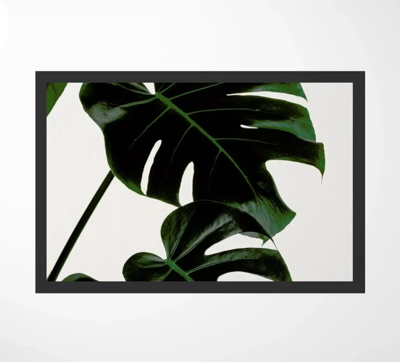 Green Giant zerbino da Flora & Fauna