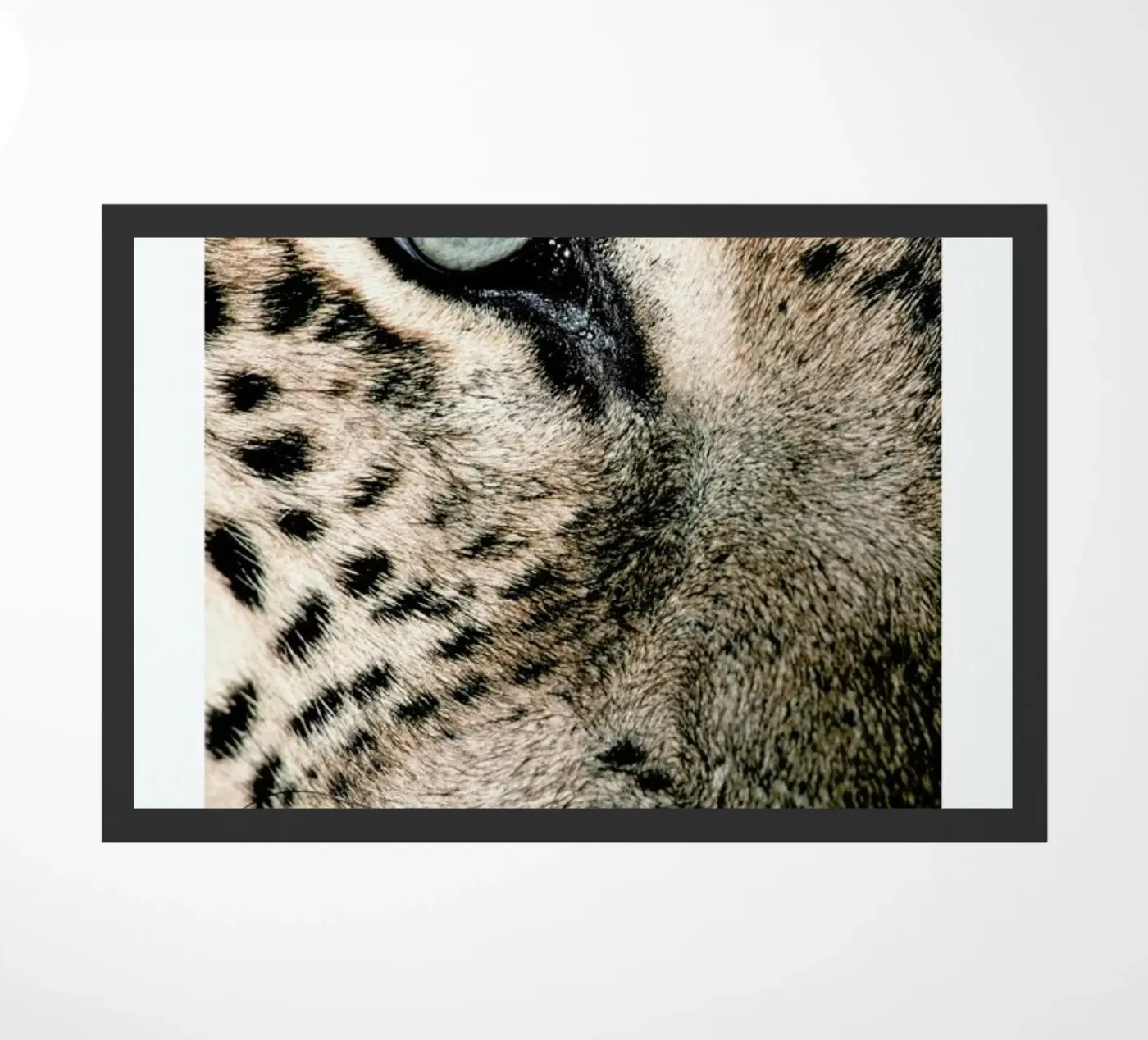 Leopard's Eye doormat by Natural Kingdom