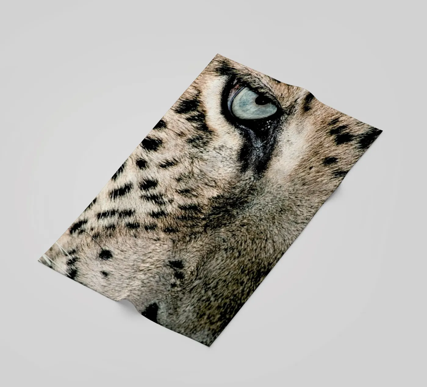 Leopard's Eye telo mare da Natural Kingdom