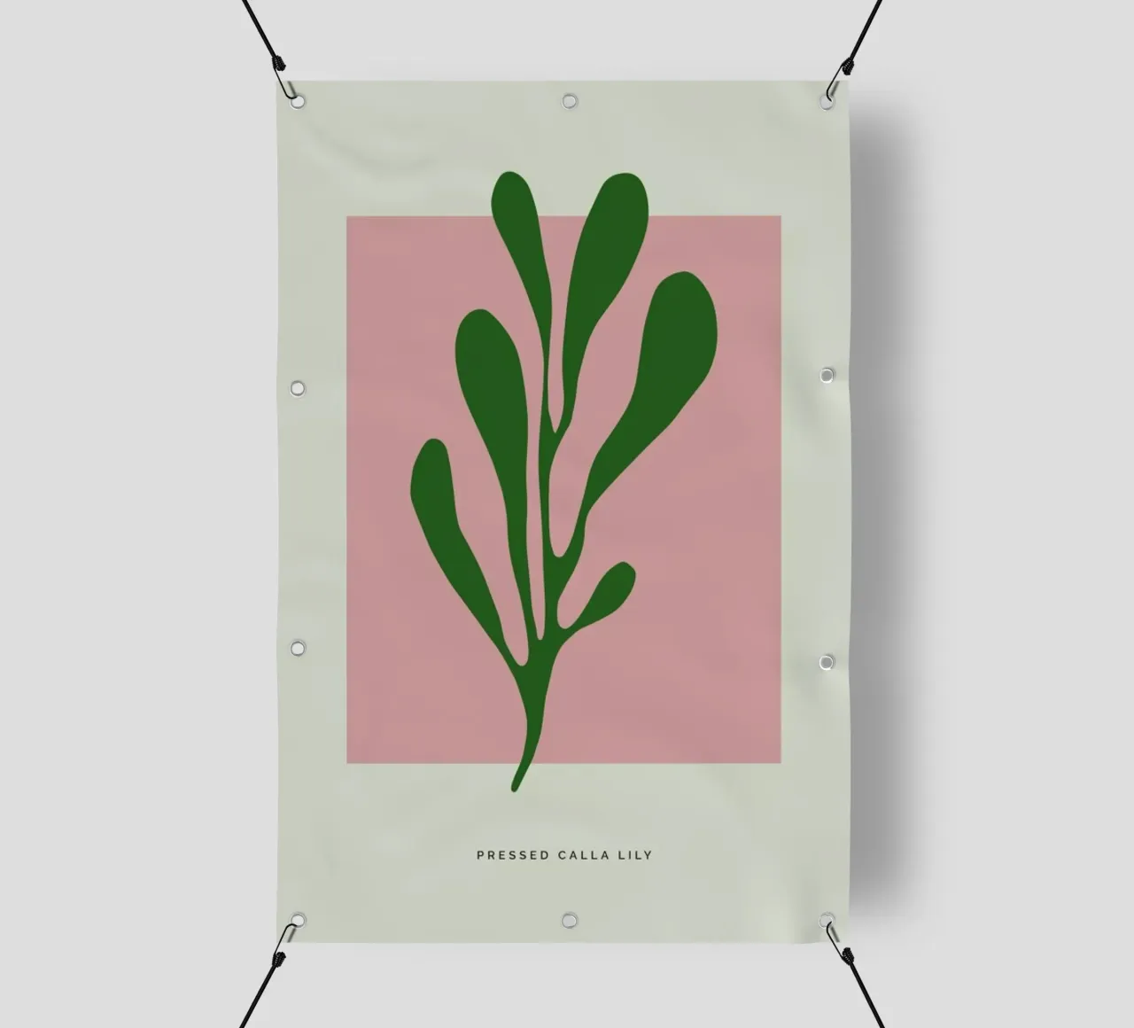 Pressed Calla Lily lonas publicitarias de Studio One