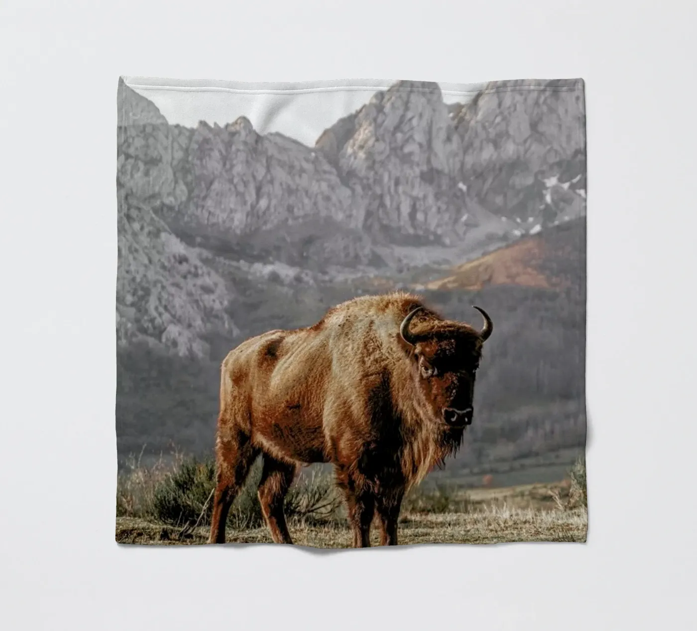 Early Riser fleece blanket by Natural Kingdom