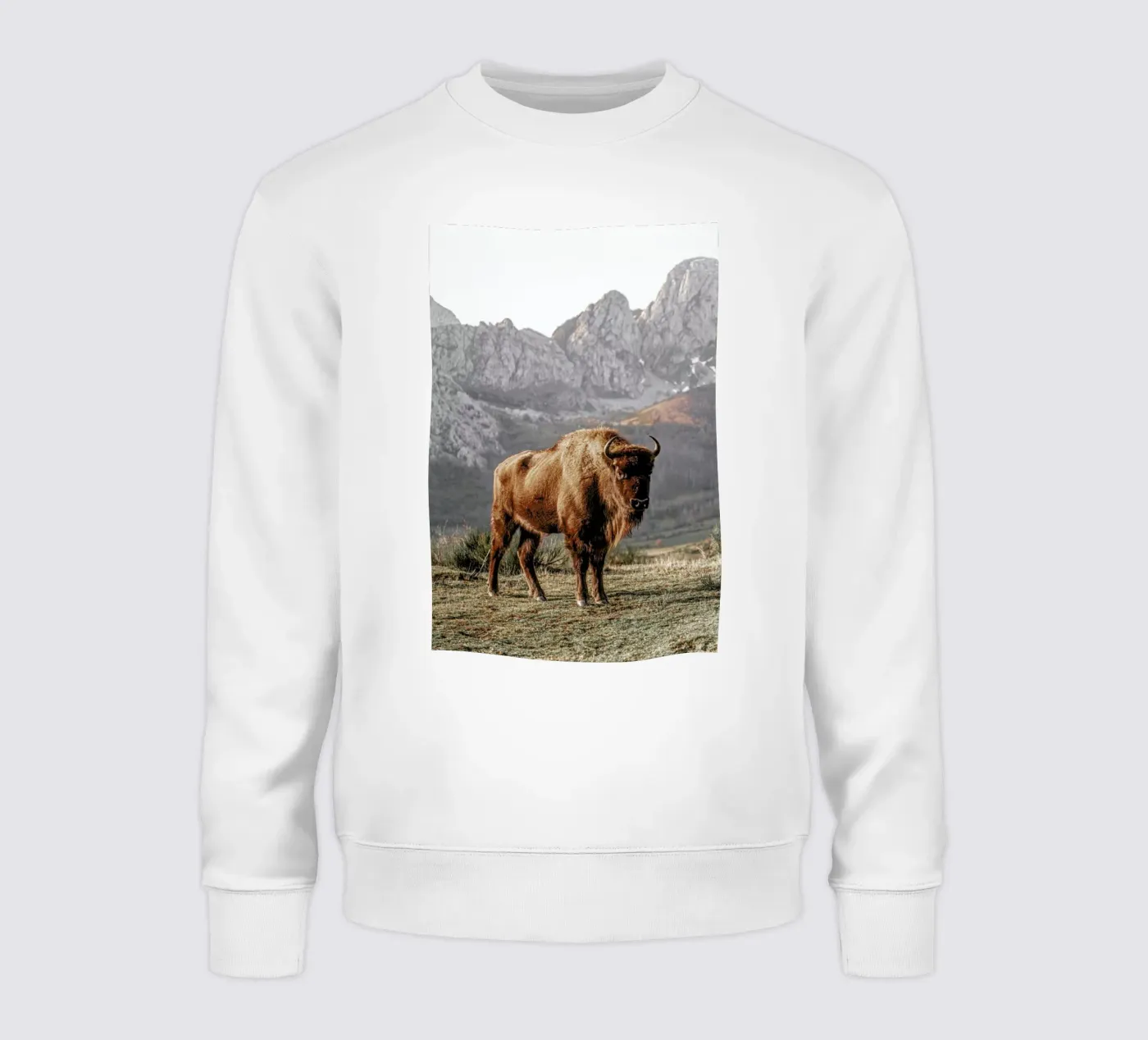 Early Riser sweatshirt by Natural Kingdom