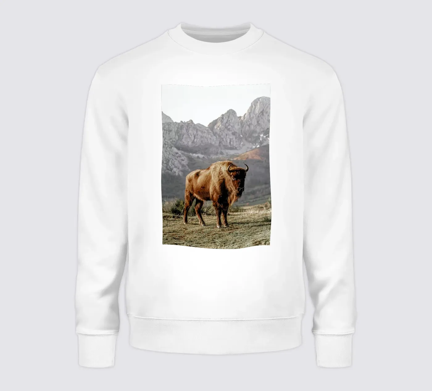 Early Riser sweatshirt by Natural Kingdom