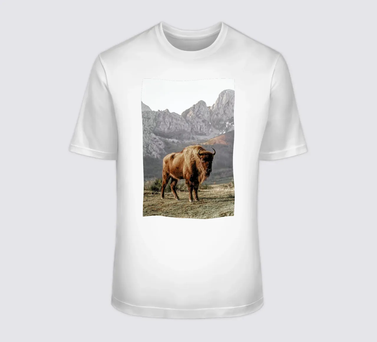 Early Riser t-shirt da Natural Kingdom
