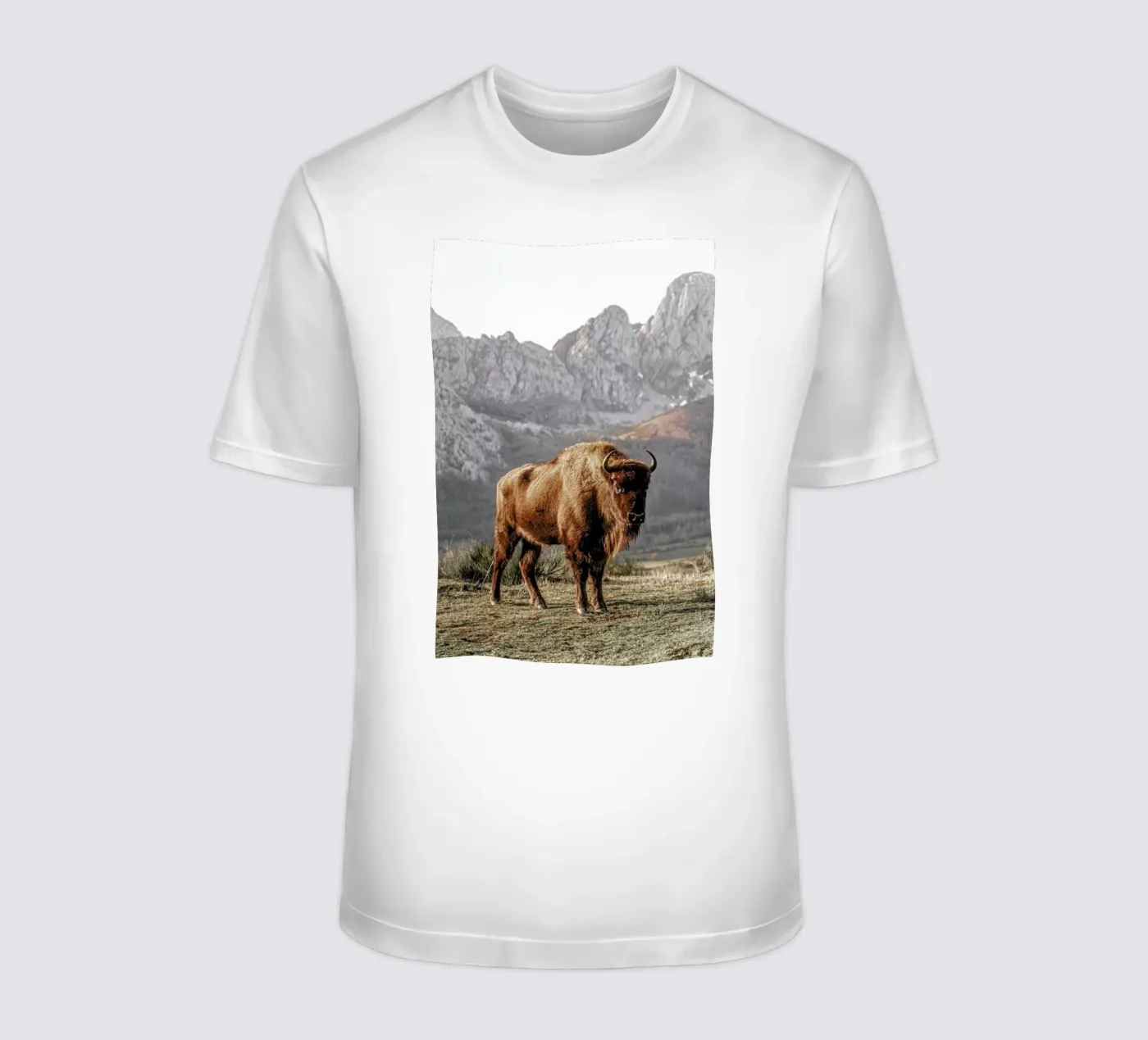 Early Riser t-shirt van Natural Kingdom
