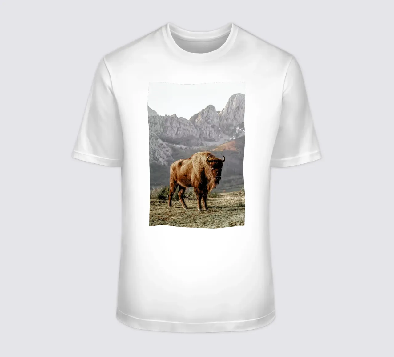 Early Riser t-shirt da Natural Kingdom
