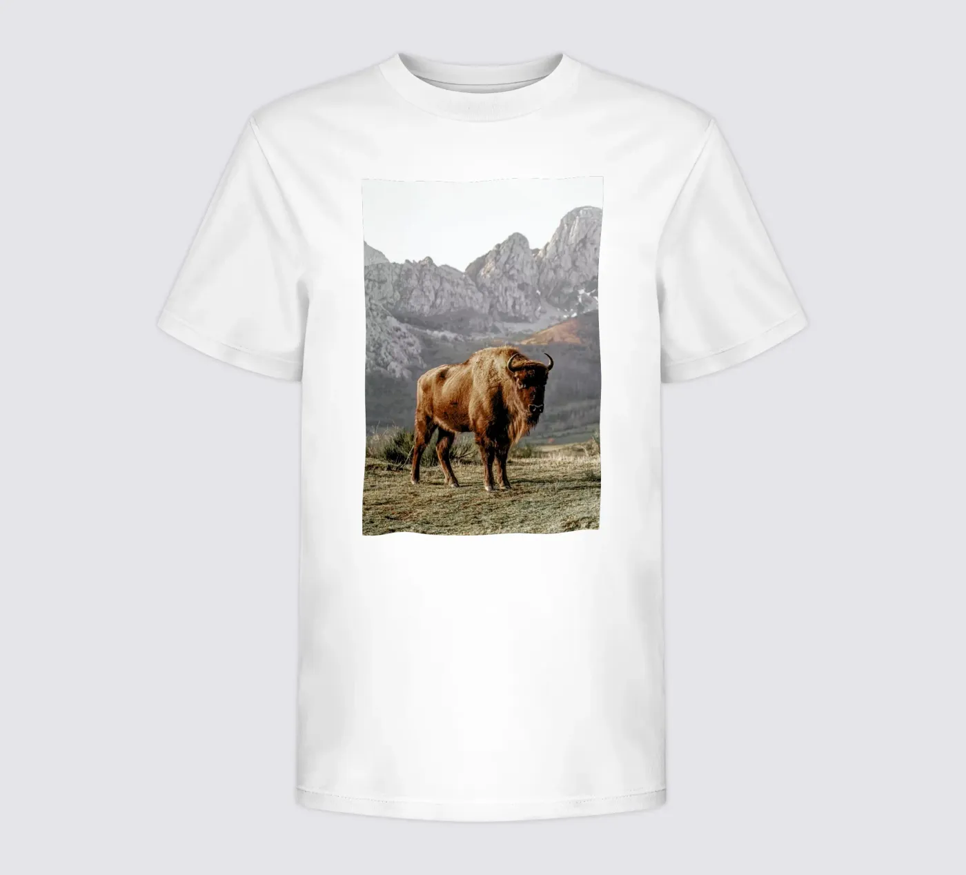Early Riser kinder t-shirt van Natural Kingdom
