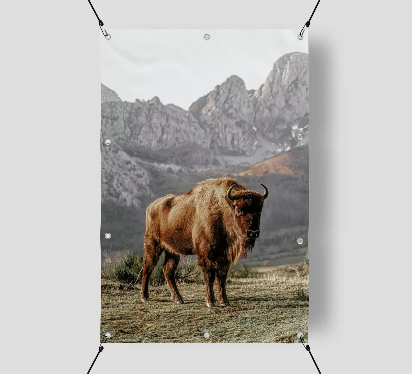 Early Riser bâche pvc de Natural Kingdom