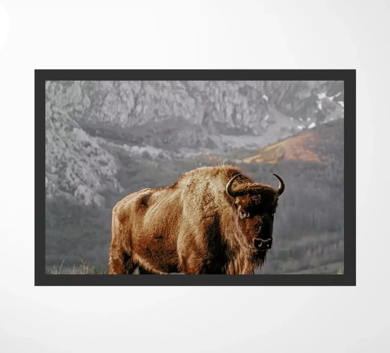 Early Riser doormat by Natural Kingdom